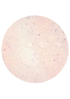 ISSEY MIYAKE Bubble Dye Online