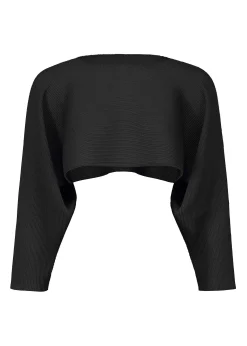 ISSEY MIYAKE Dolman Stretch Pleats 2 Fashion