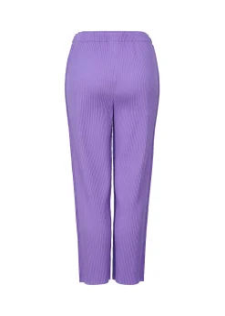 ISSEY MIYAKE Fine Knit Pleats Color 2 Fashion