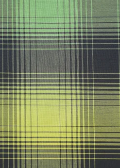 ISSEY MIYAKE Gradation Check Best Sale