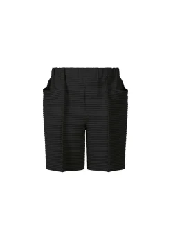 ISSEY MIYAKE Horizon Pleats 2 Fashion