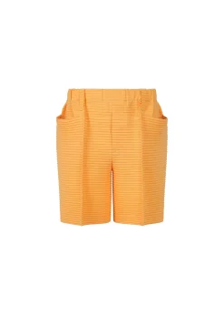 ISSEY MIYAKE Horizon Pleats 2 Fashion