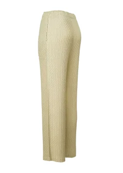 ISSEY MIYAKE Sleek Pleats Cheap