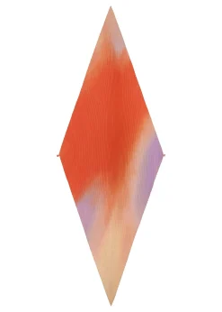 ISSEY MIYAKE Suffused Pleats Stole Cheap