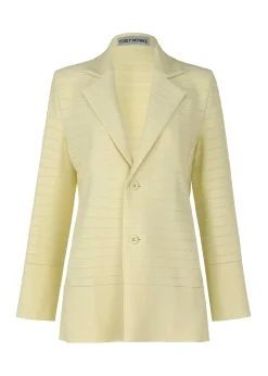 ISSEY MIYAKE Wide Stripe Knit Store