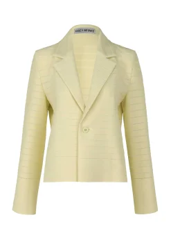 ISSEY MIYAKE Wide Stripe Knit Best