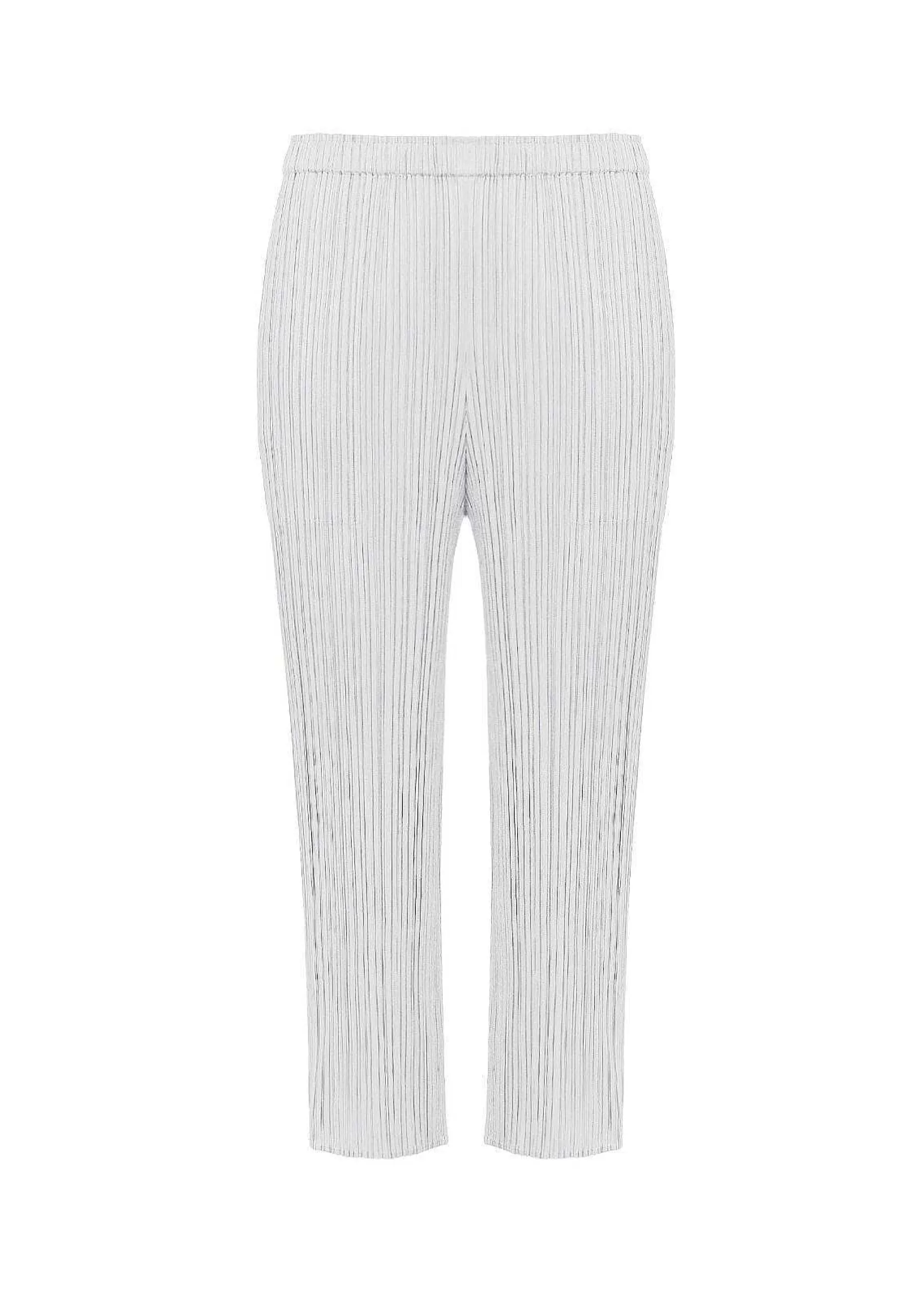 ISSEY MIYAKE Pants | Basics