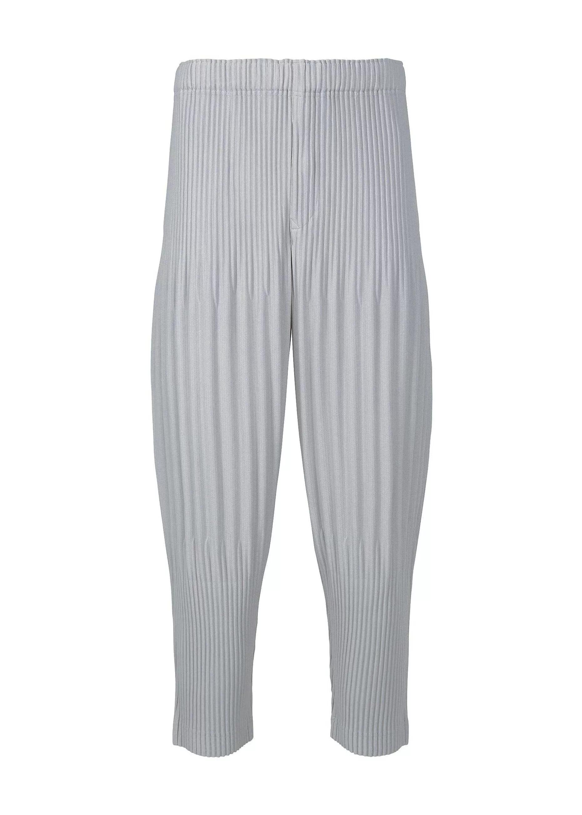 ISSEY MIYAKE Pants | Basics