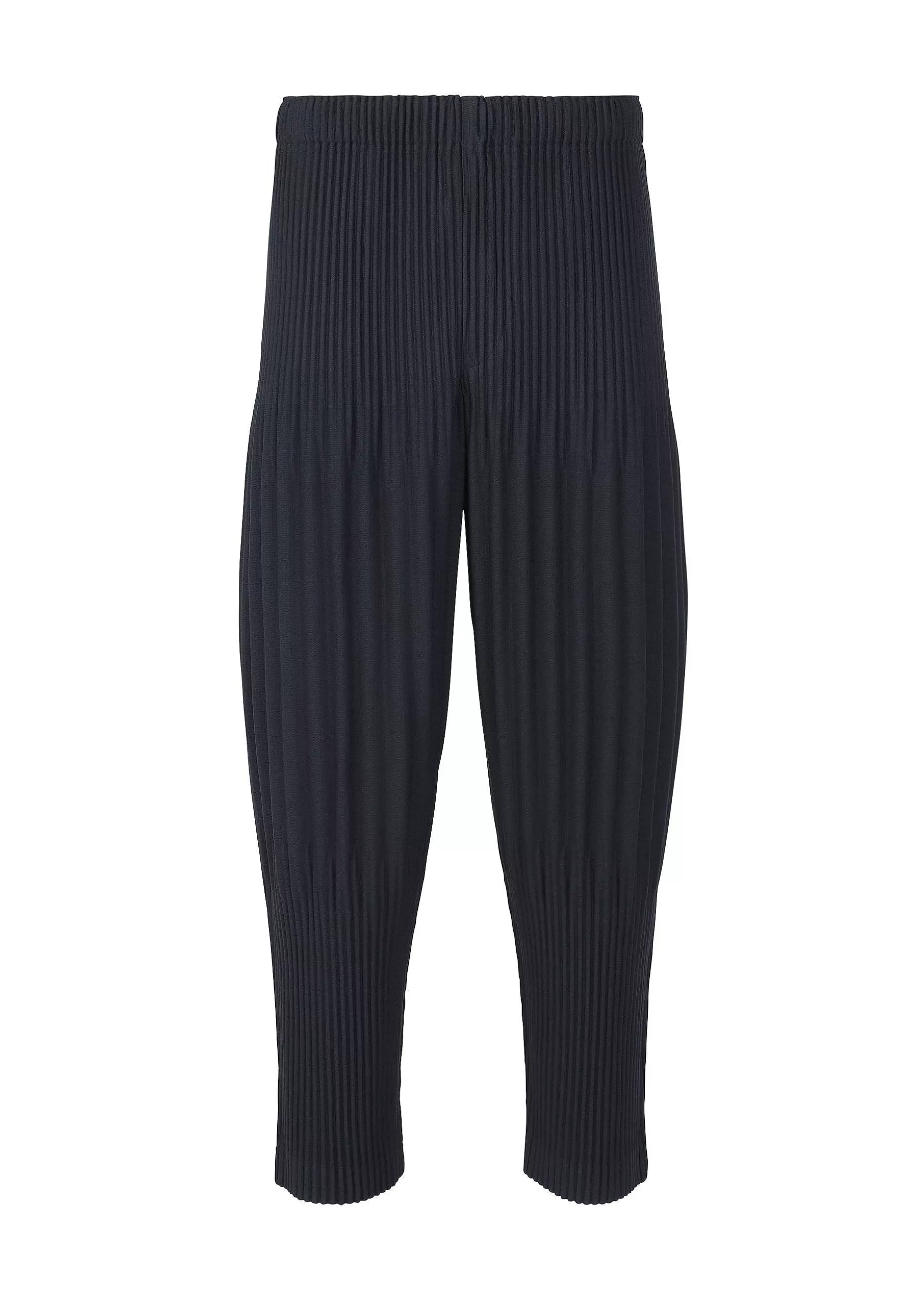 ISSEY MIYAKE Pants | Basics