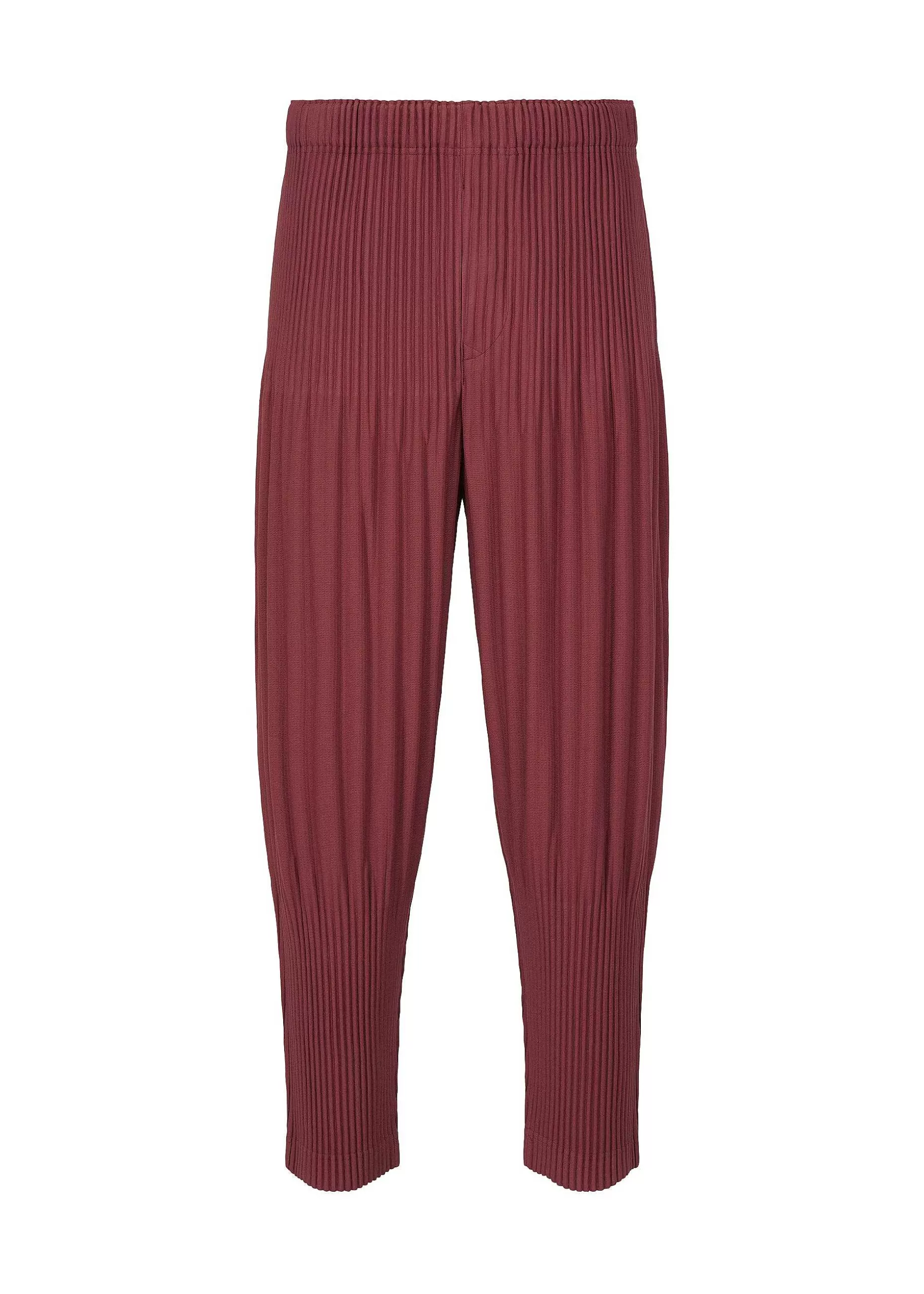 ISSEY MIYAKE Pants | Color Pleats