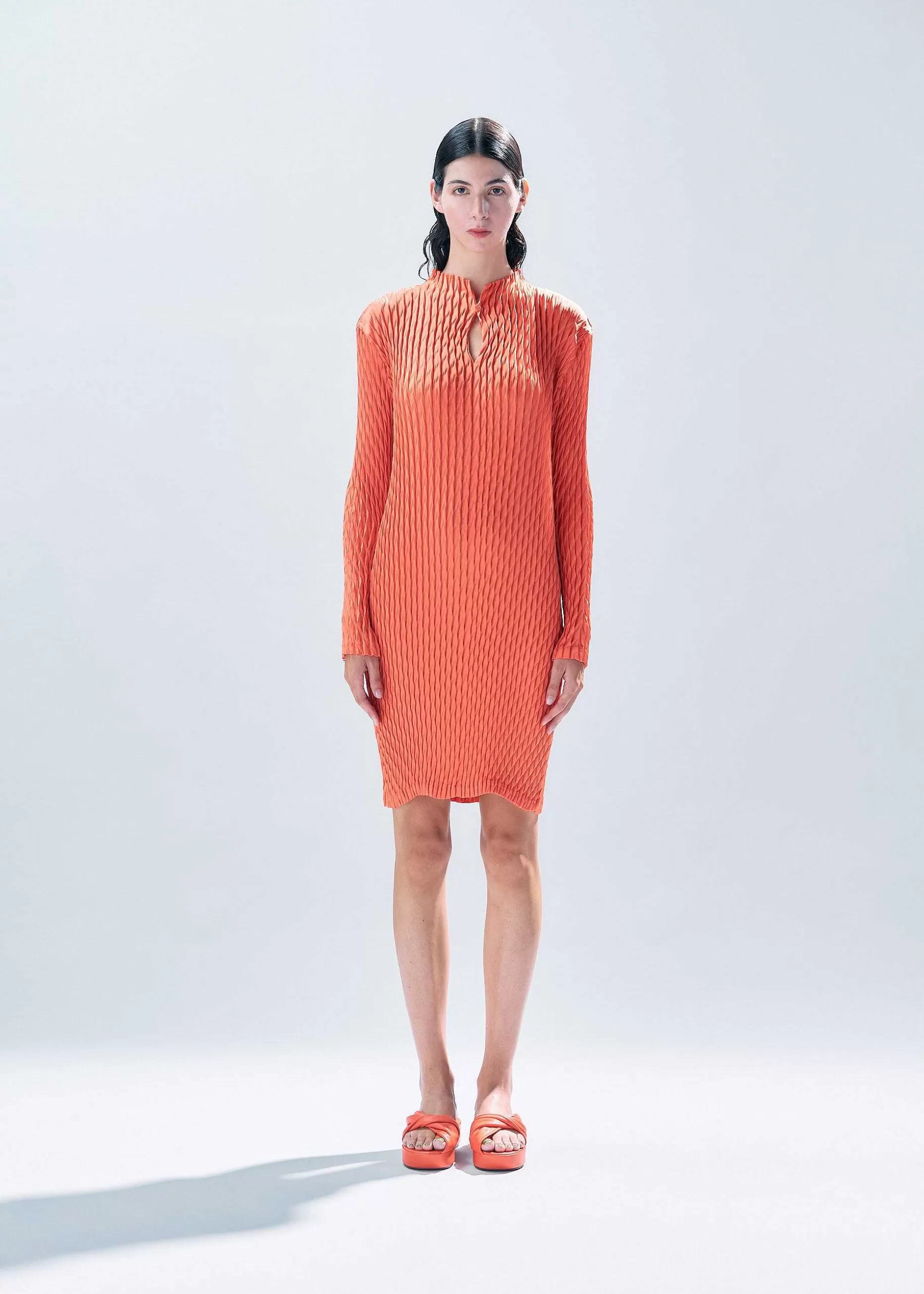 ISSEY MIYAKE Dress | Diffused Pleats