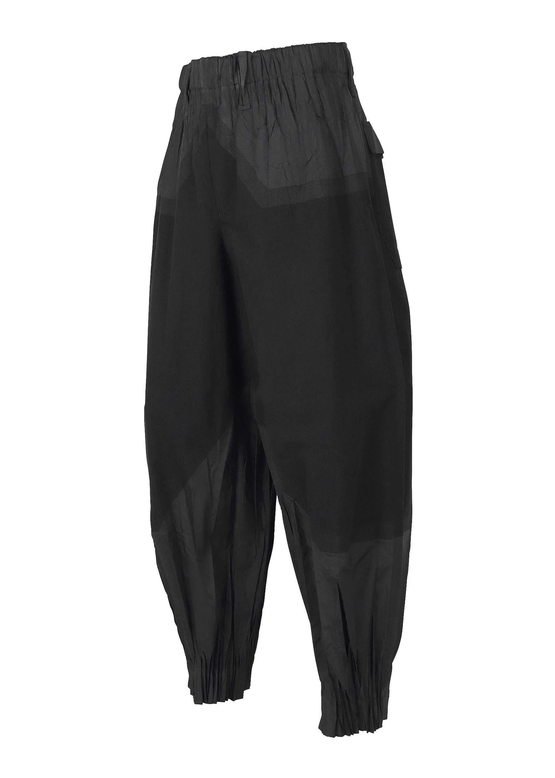 ISSEY MIYAKE Pants | Duo