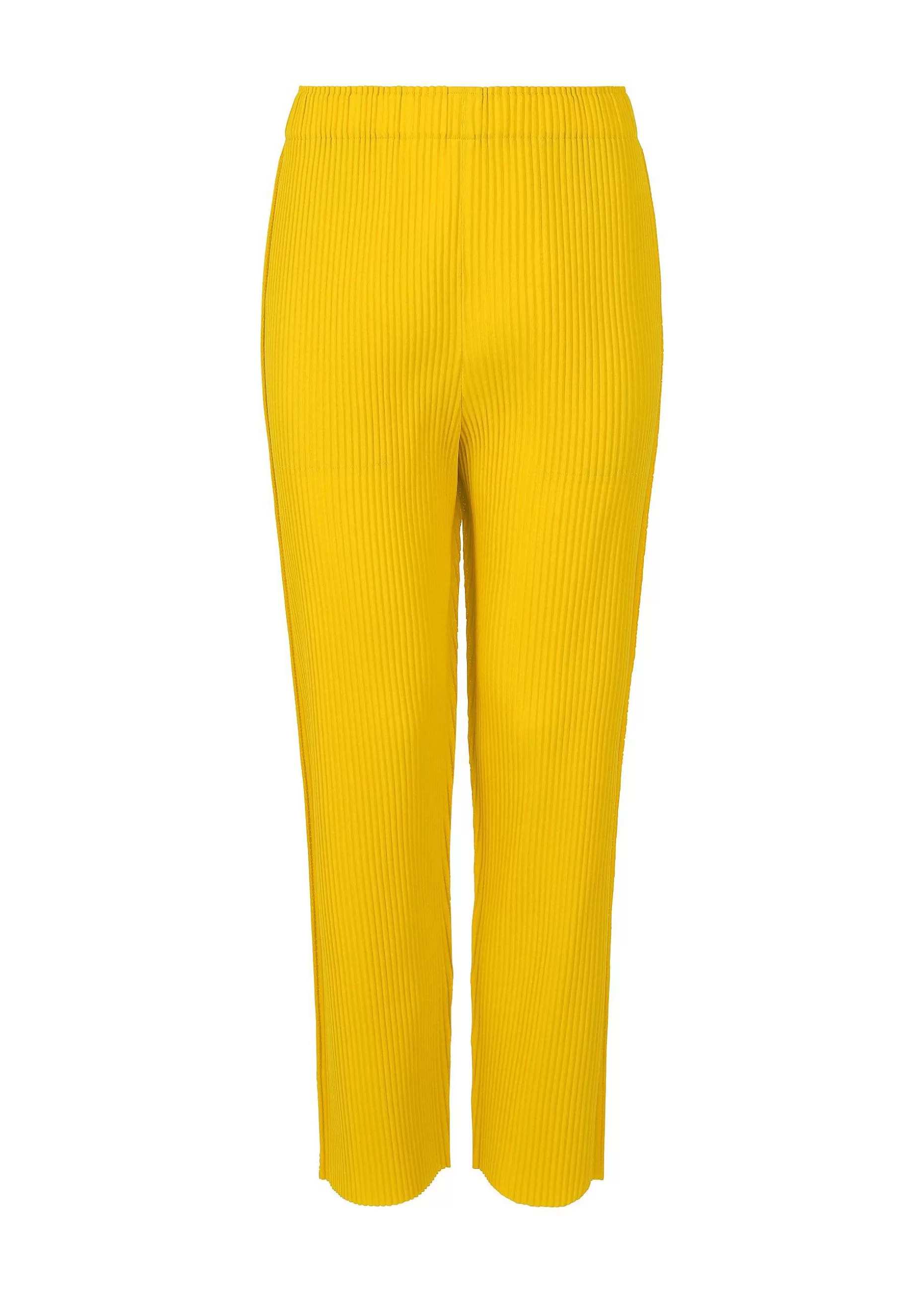 ISSEY MIYAKE Pants | Fine Knit Pleats Color 1