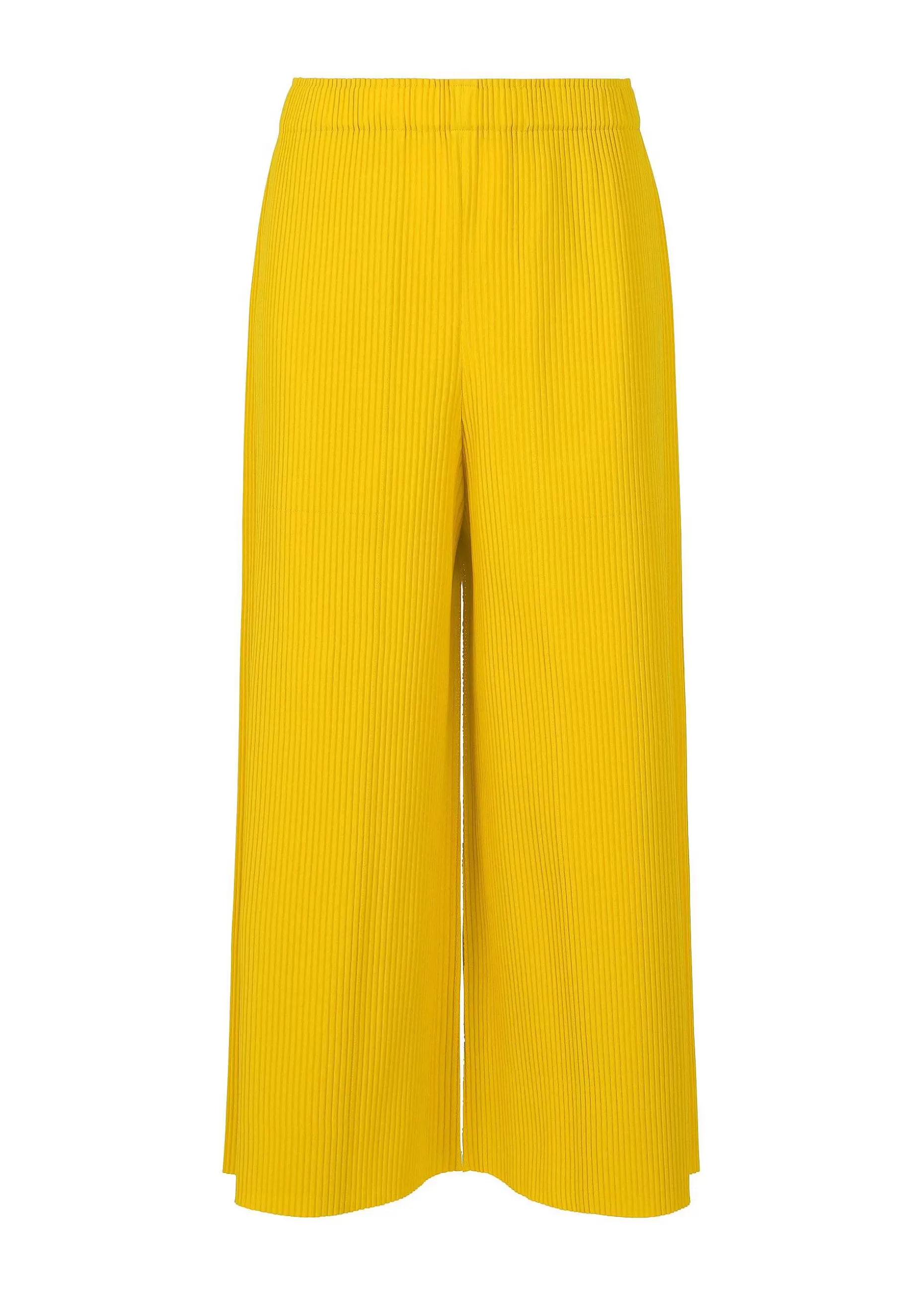 ISSEY MIYAKE Pants | Fine Knit Pleats Color 1