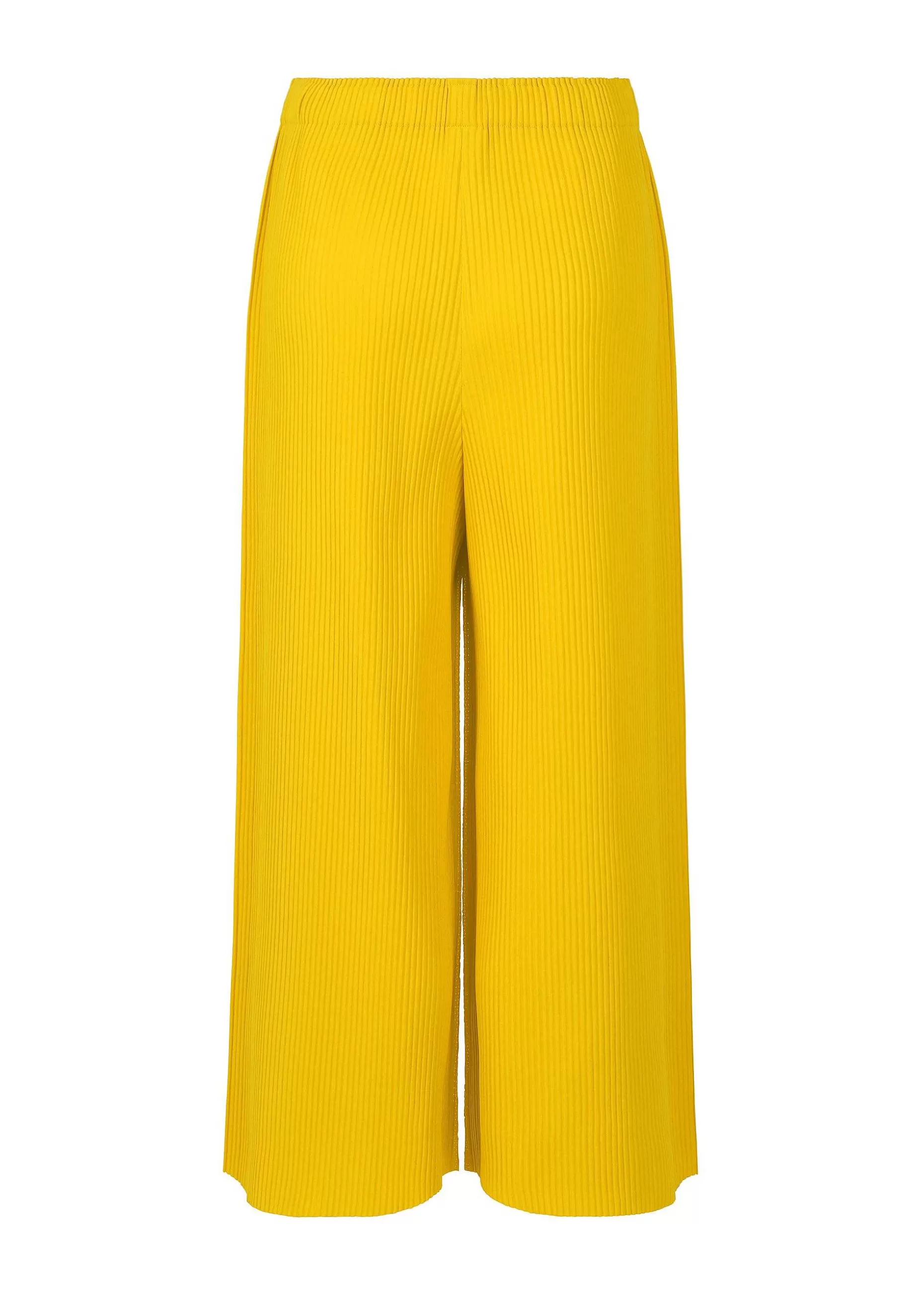 ISSEY MIYAKE Pants | Fine Knit Pleats Color 1