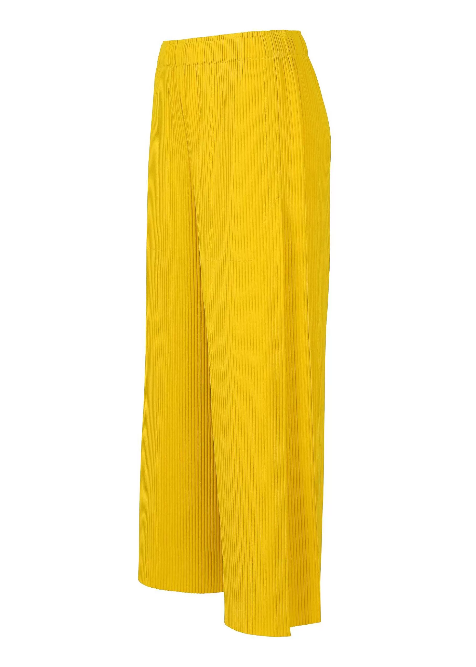 ISSEY MIYAKE Pants | Fine Knit Pleats Color 1