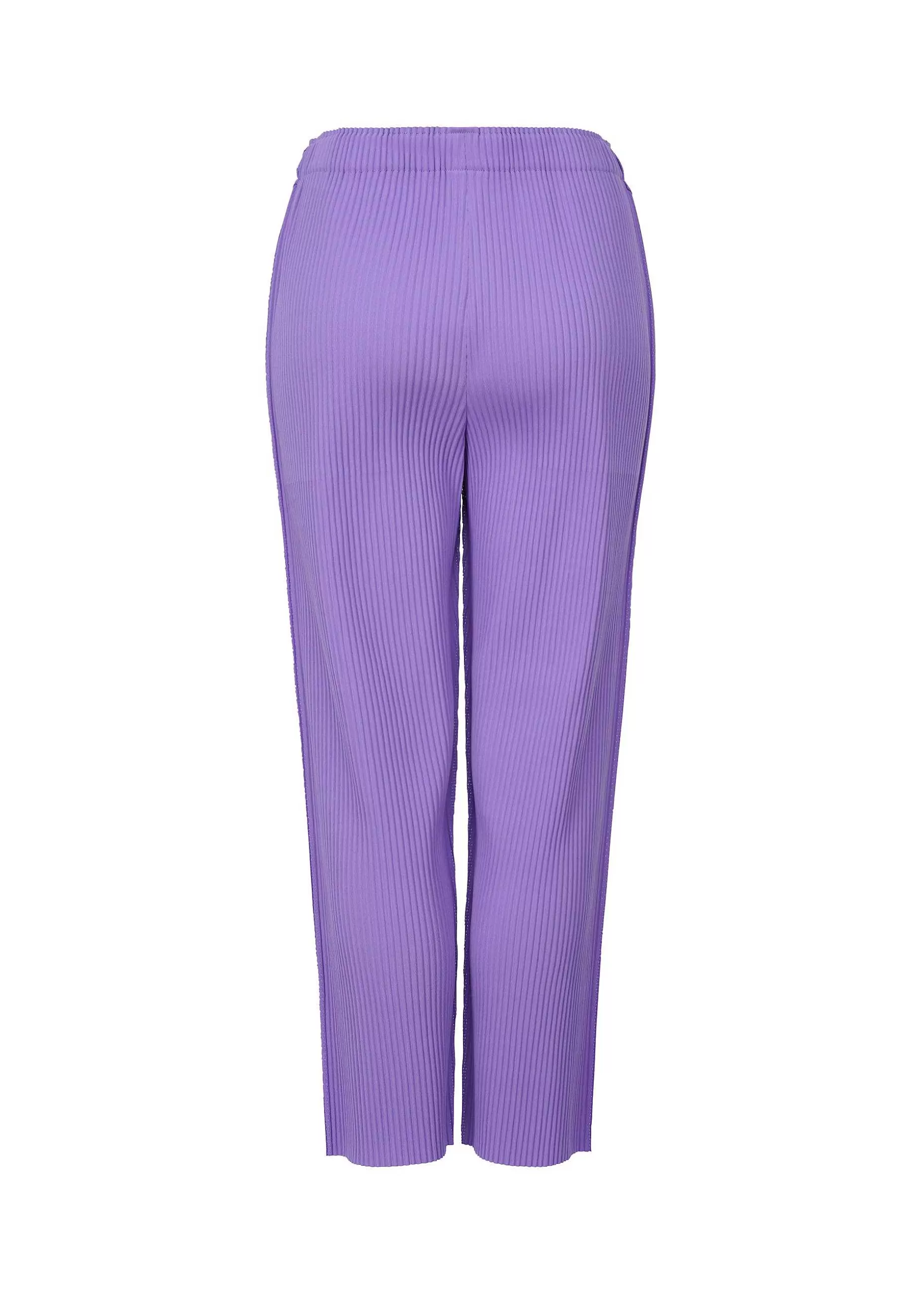 ISSEY MIYAKE Pants | Fine Knit Pleats Color 2