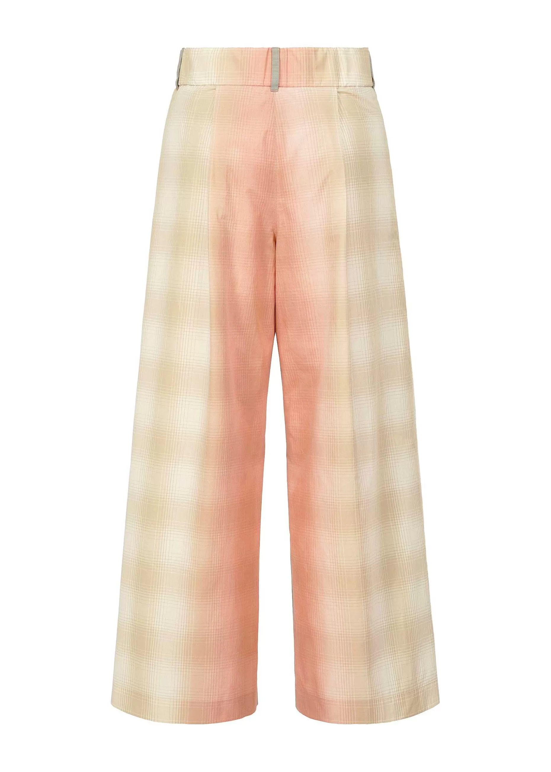 ISSEY MIYAKE Pants | Gradation Check