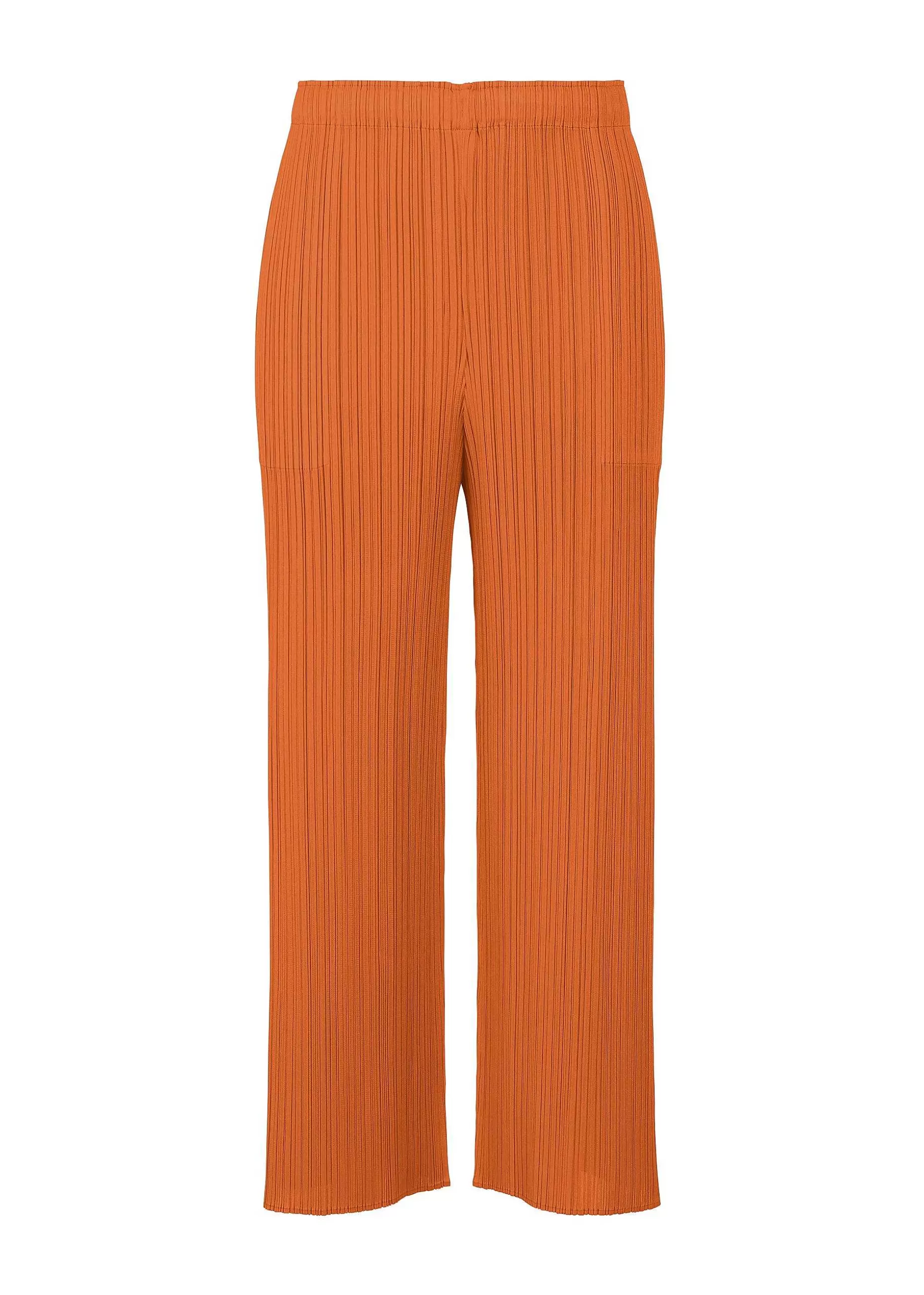 ISSEY MIYAKE Pants | Monthly Colors : April