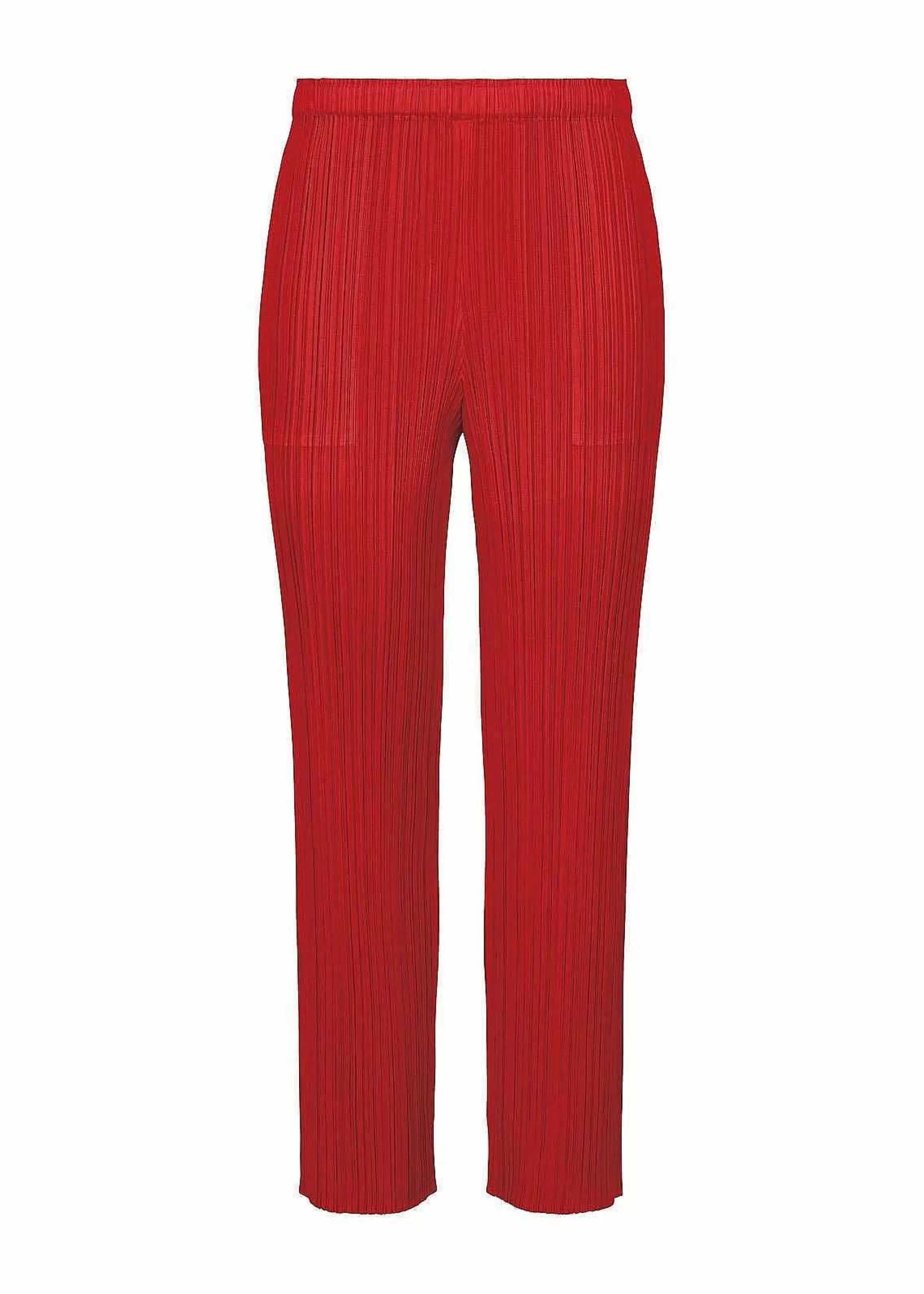 ISSEY MIYAKE Pants | New Colorful Basics 3