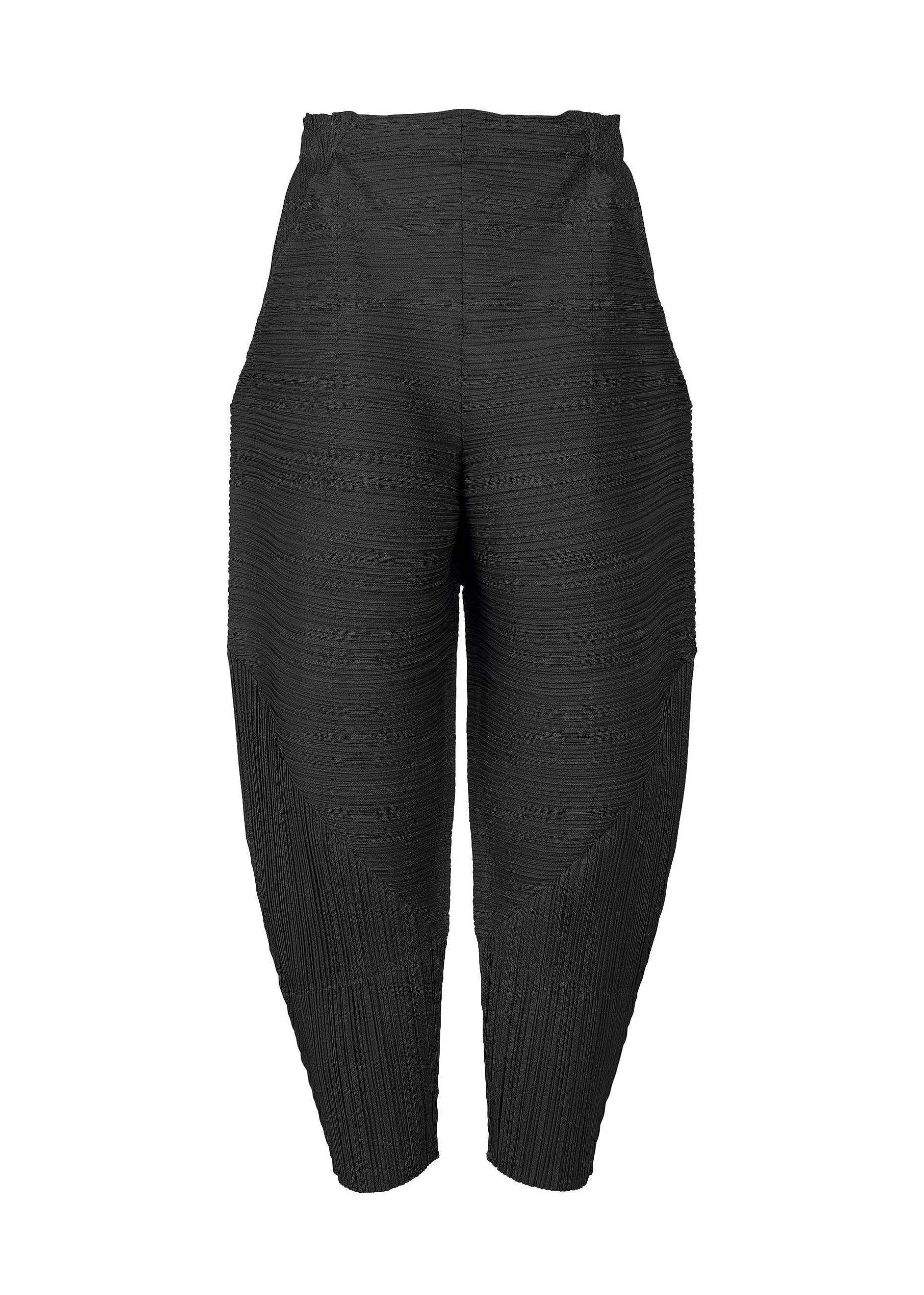 ISSEY MIYAKE Pants | Thicker Bounce