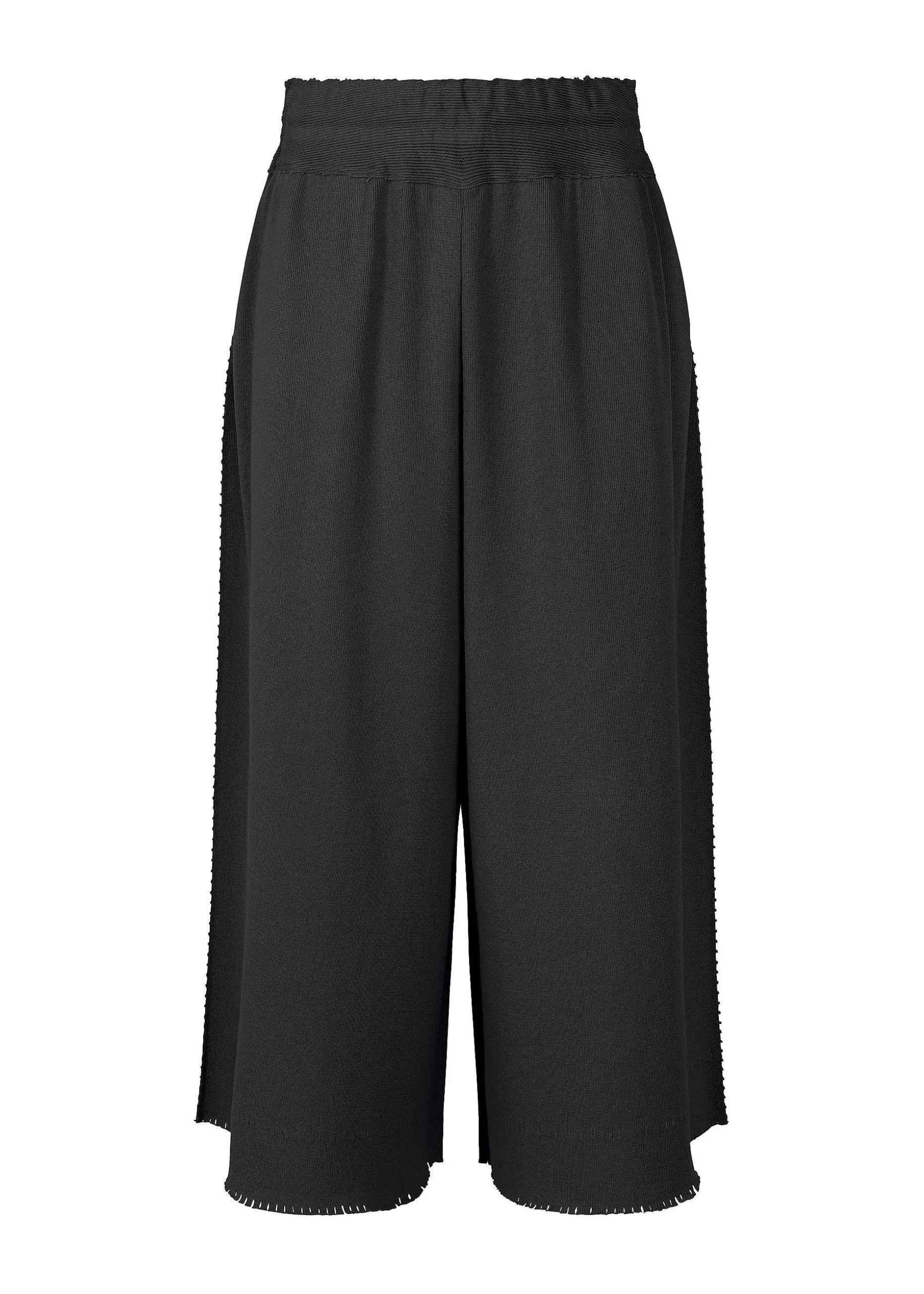 ISSEY MIYAKE Pants | Type-A 003