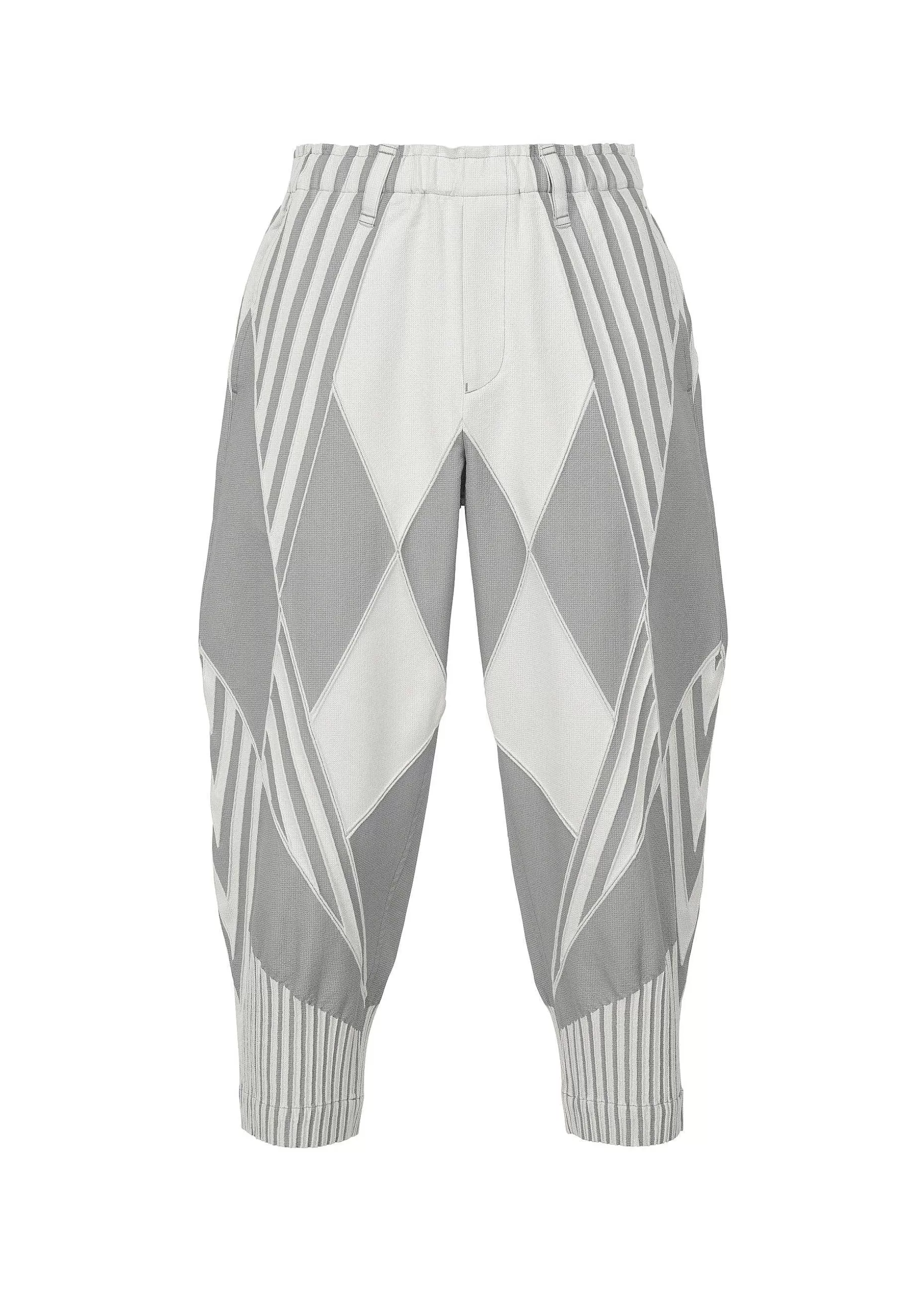 ISSEY MIYAKE Pants | Type-S 002