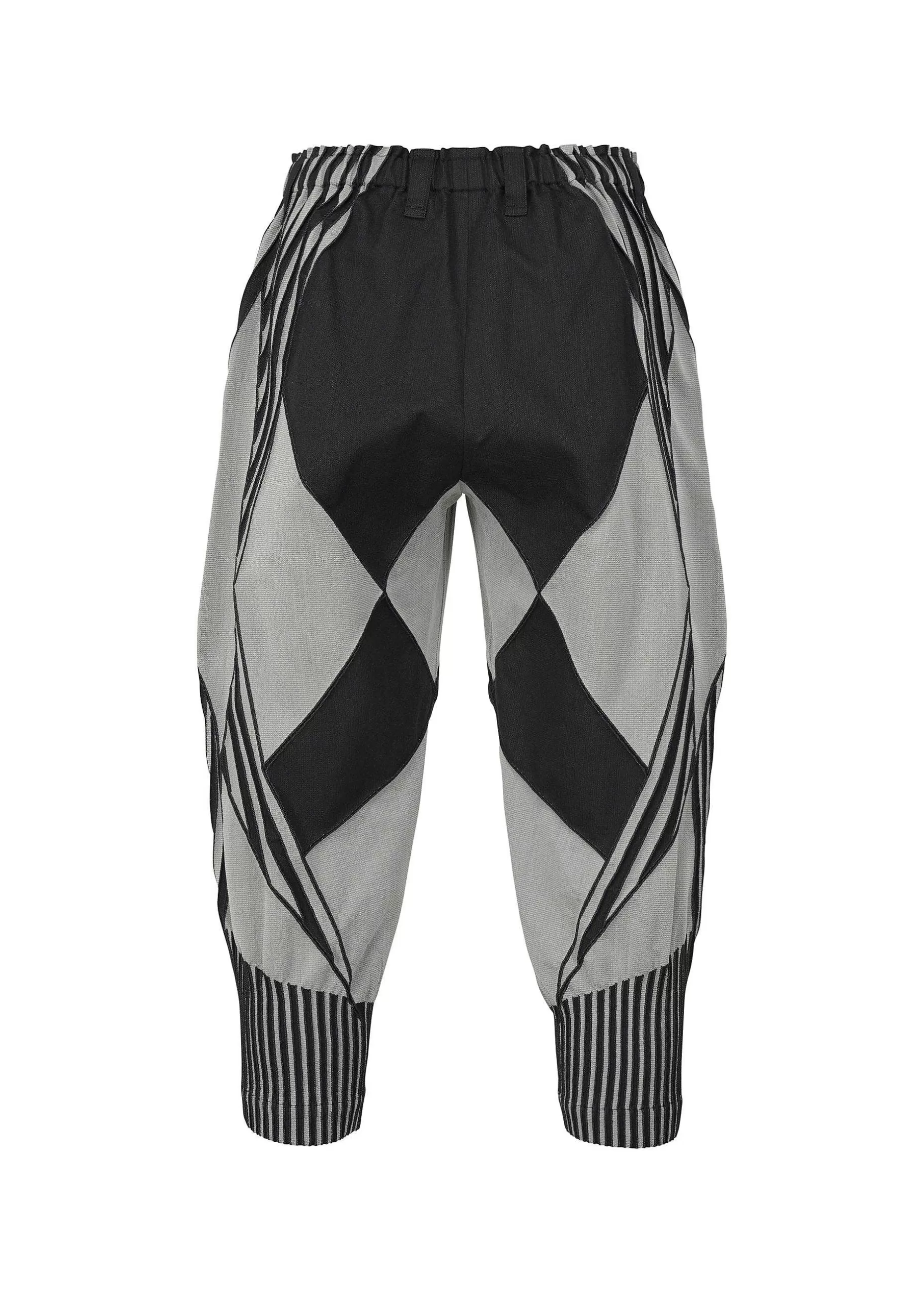 ISSEY MIYAKE Pants | Type-S 002