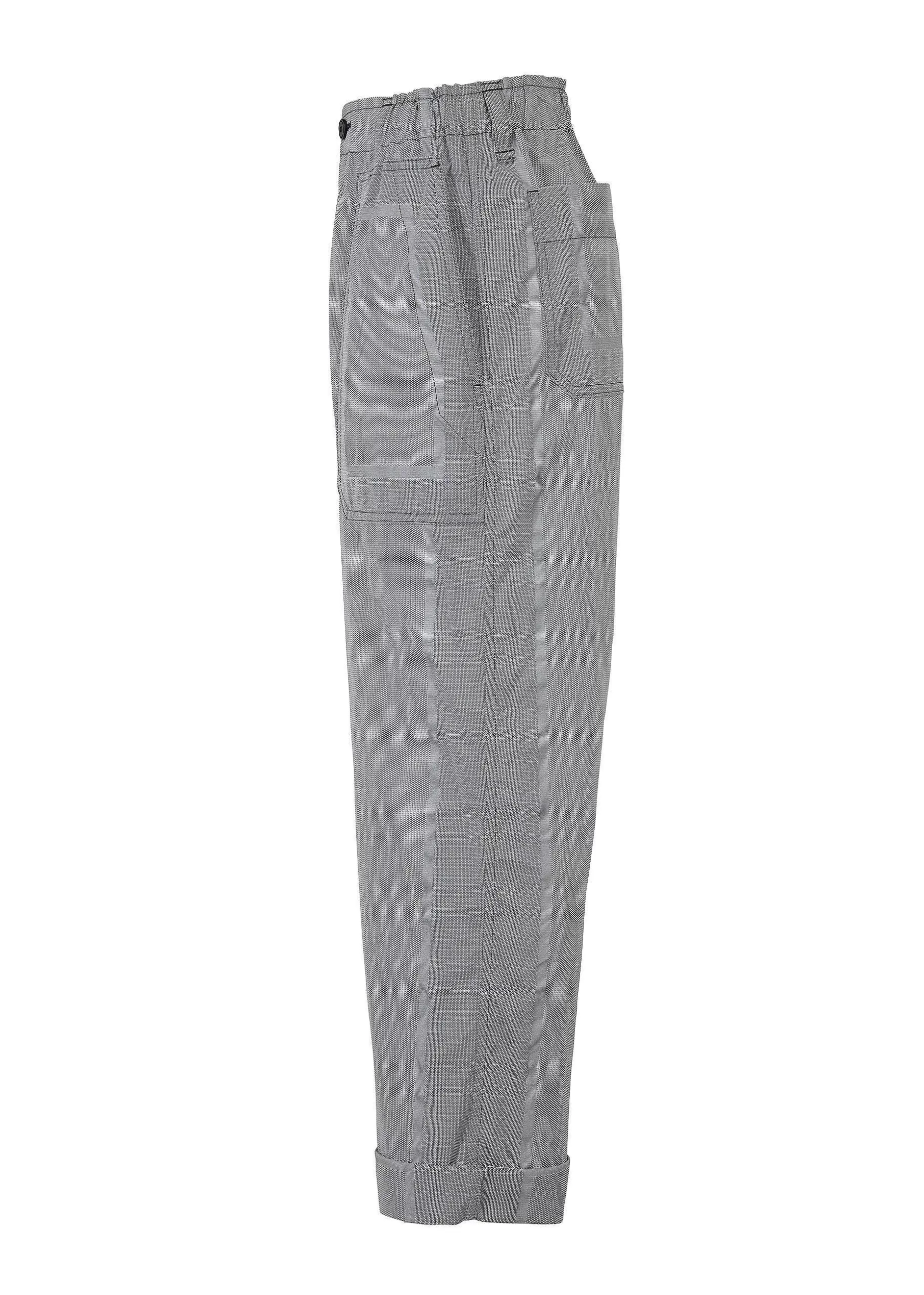 ISSEY MIYAKE Pants | Type-U 001-1