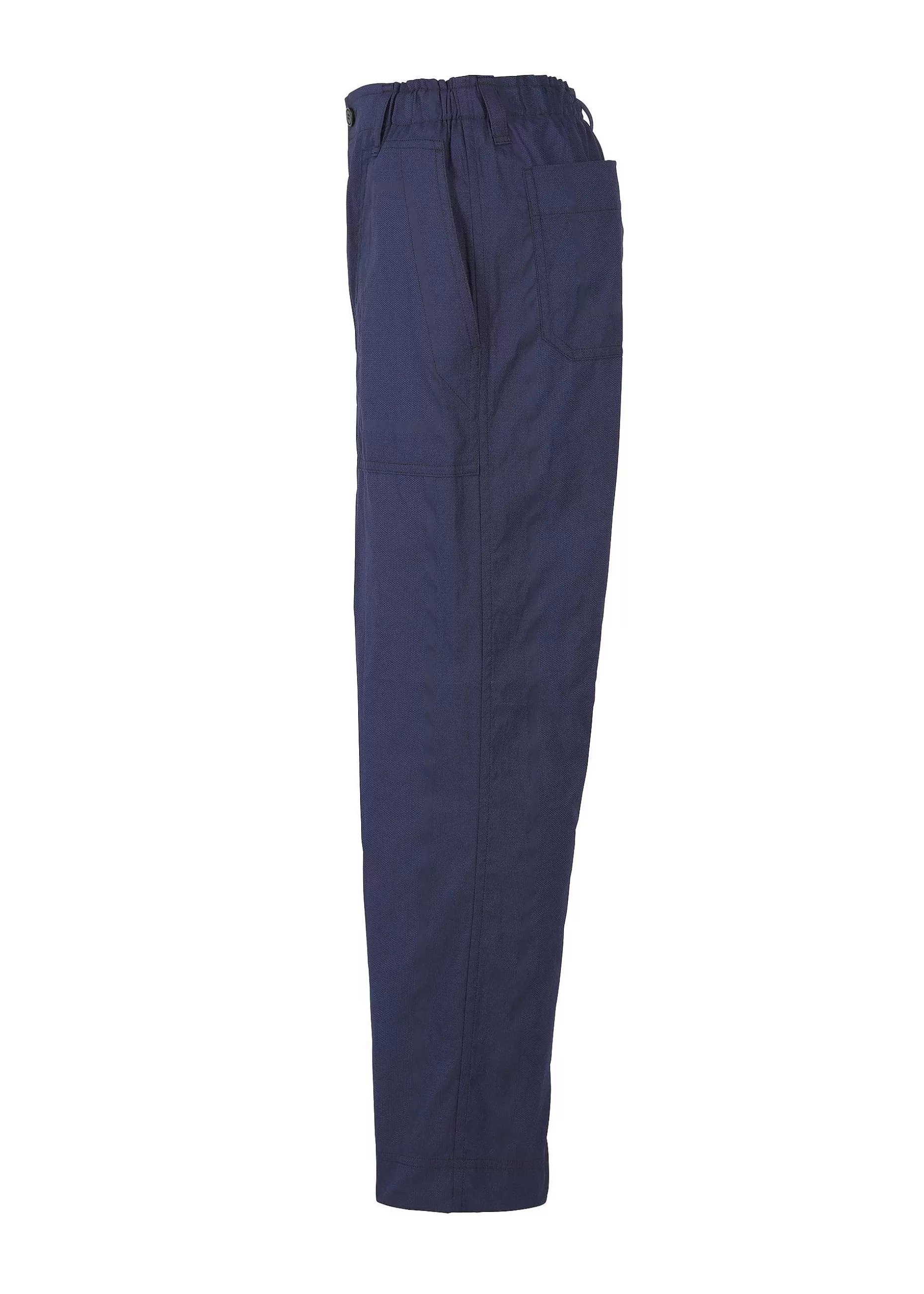 ISSEY MIYAKE Pants | Type-U 001